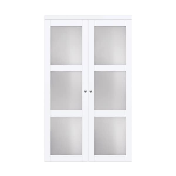 Renin Renin 30 in. x 80 1/2 in. Euro 3-Lite Design Pivot Door PV5402BWFGC030080 - main